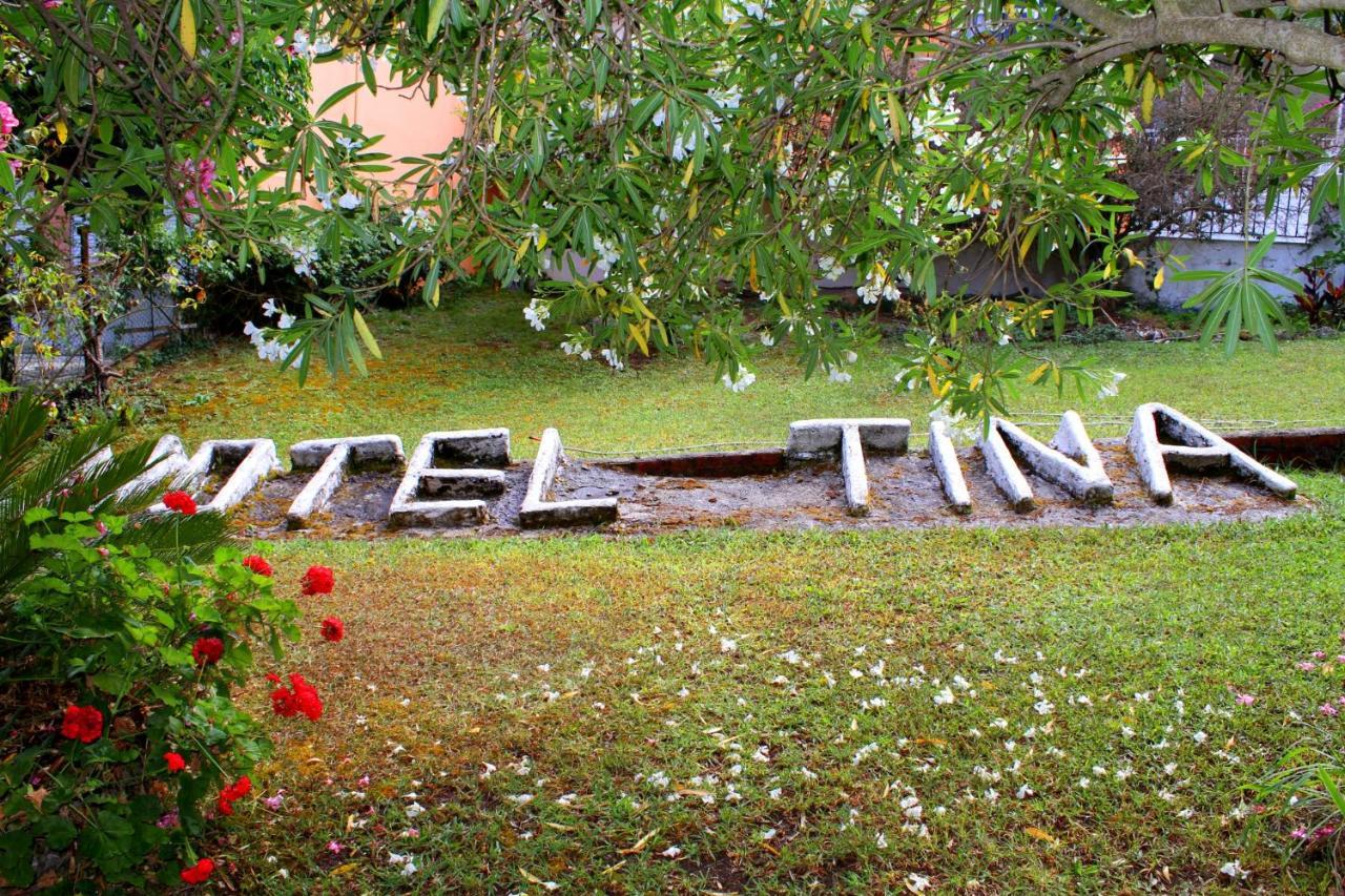 Tina Hotel 다시아 외부 사진